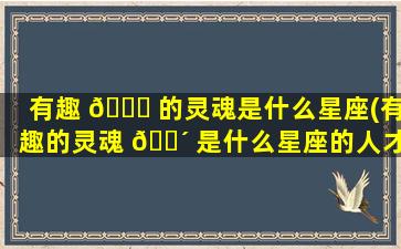 有趣 🐒 的灵魂是什么星座(有趣的灵魂 🌴 是什么星座的人才有)